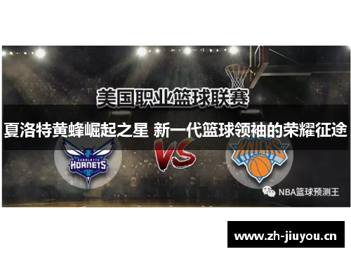 夏洛特黄蜂崛起之星 新一代篮球领袖的荣耀征途